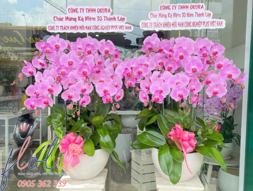 Hoa chúc mừng sinh nhật công ty kỷ niệm thành lập