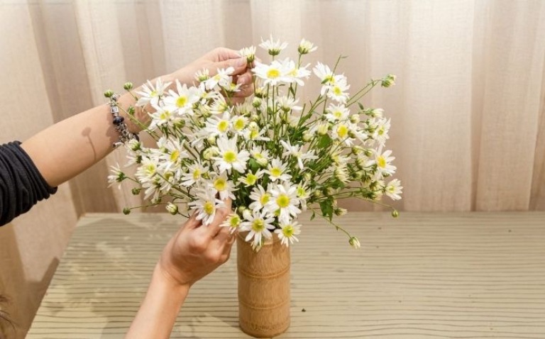 Hoa cúc trắng: Sự tích, ý nghĩa và những dịp nên chọn tặng - FLoLi