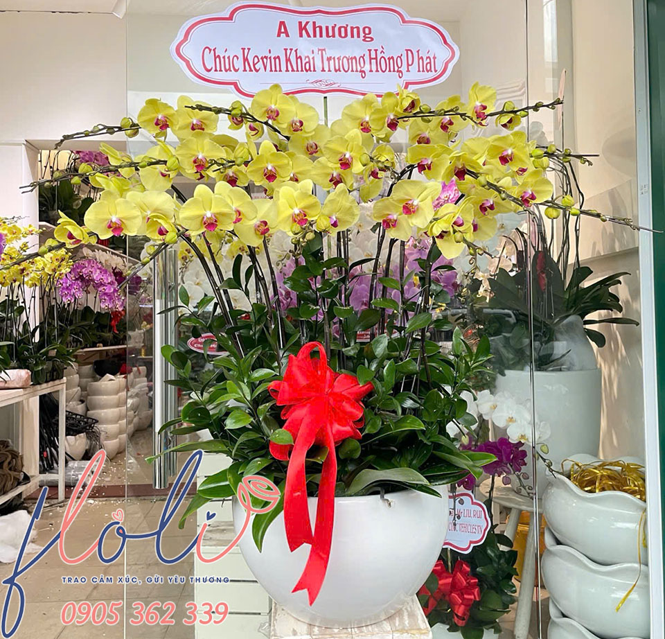 lan ho diep tang chuc mung khai truong 1a