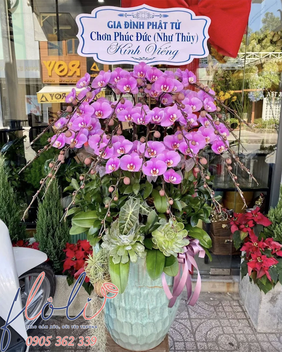 chau lan ho diep phat tu cung chua