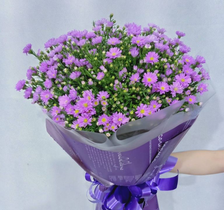 hoa thạch thảo tượng trưng cho tình yêu vĩnh cửu