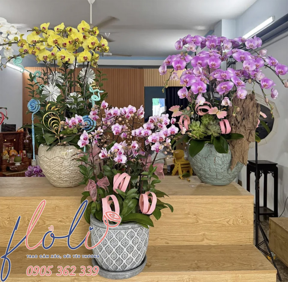 mẫu hoa mừng lễ khởi công từ lan hồ điệp 