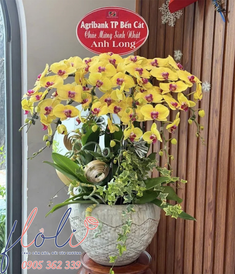 chau lan ho diep tang sinh nhat sep ngan hang 1