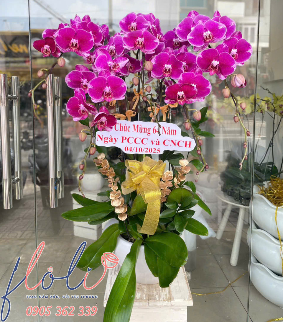 hoa lan ho diep tang ngay pccc