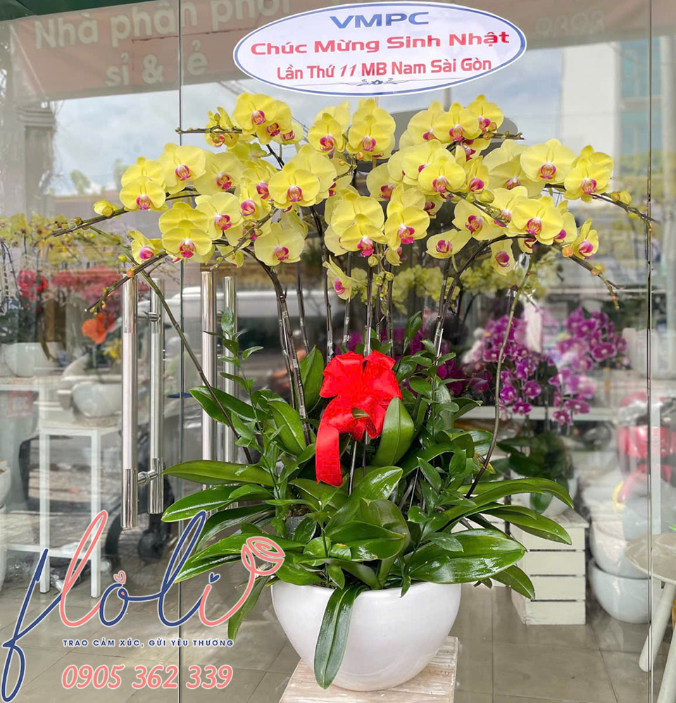 lan ho diep tang sinh nhat cong ty chuc mung thanh lap