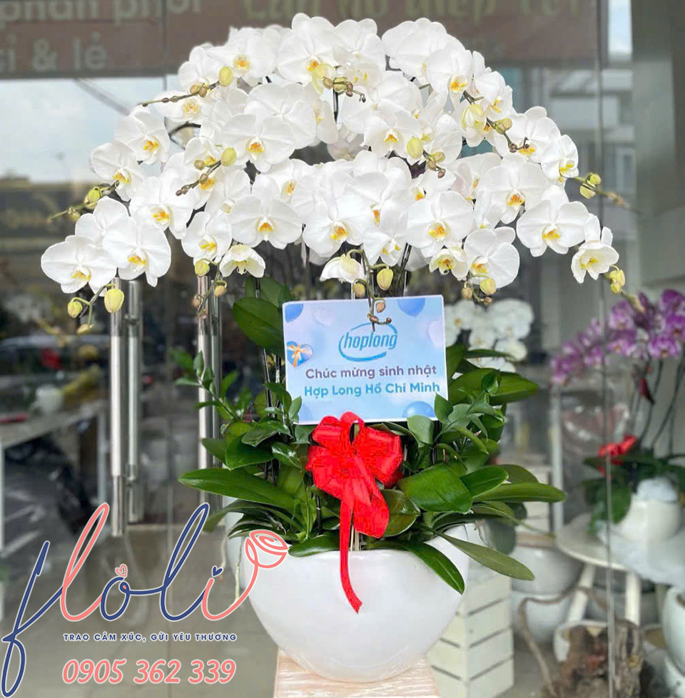 lan ho diep tang sinh nhat cong ty 3