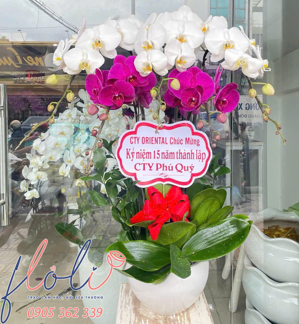 chau lan ho diep tang sinh nhat cong ty o tphcm