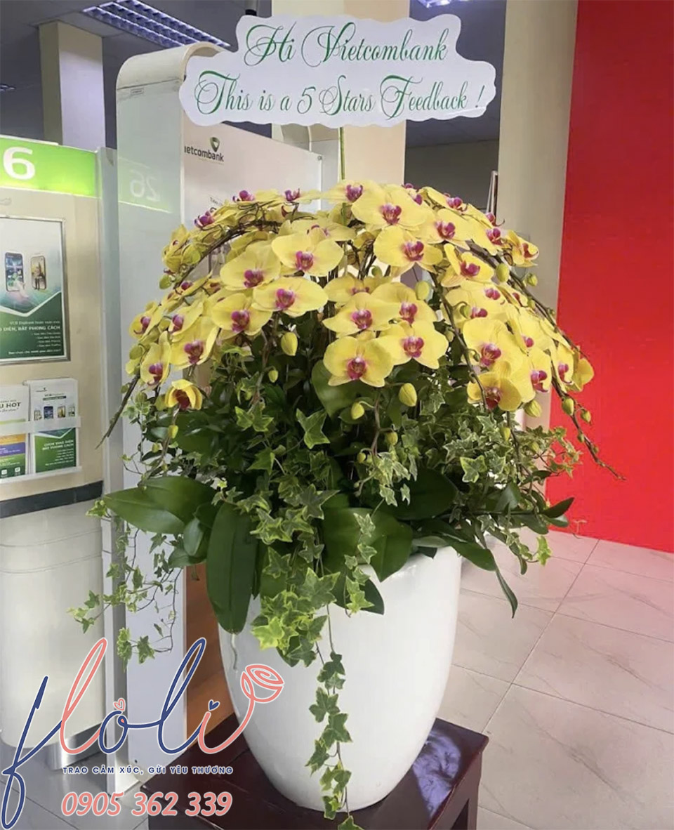 Chau lan ho diep tang sinh nhat cong ty 6