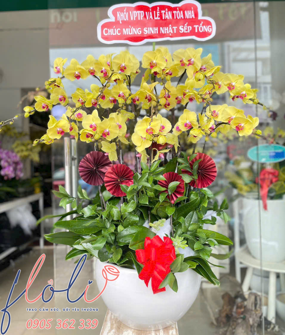 lan ho diep tang sinh nhat sep