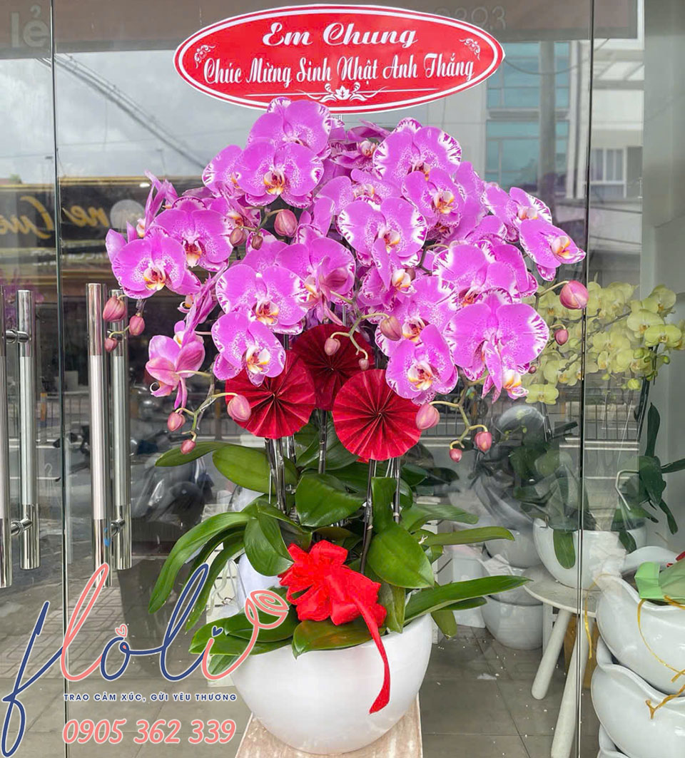 Mau lan ho diep tang sinh nhat sep