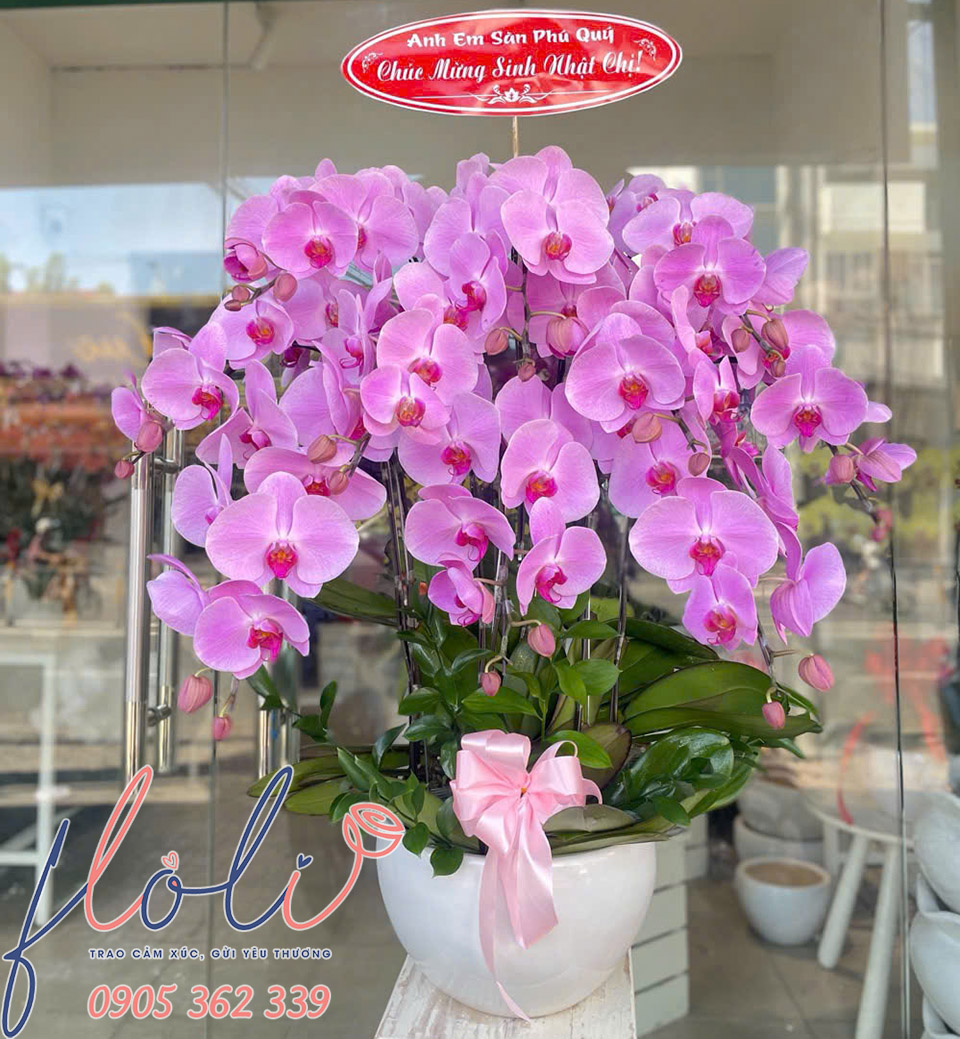 Mau hoa lan ho diep tang sinh nhat sep