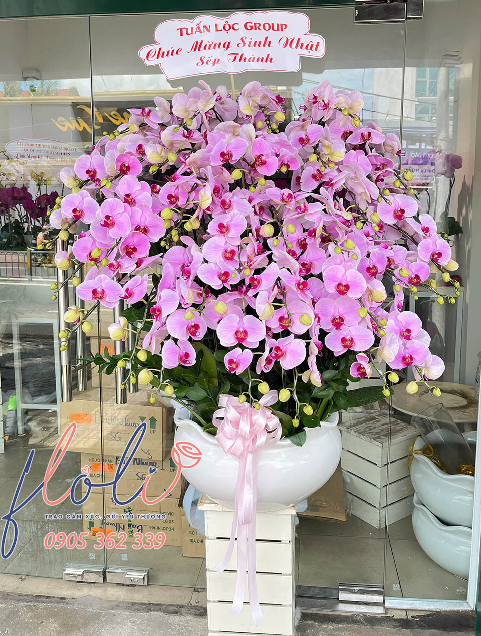 chau lan ho diep sang trong tang sinh nhat sep tong