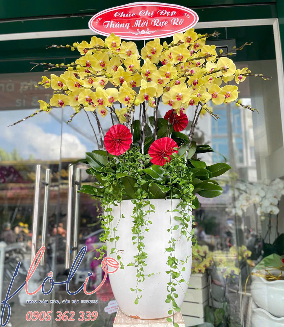 chau lan ho diep tang sinh nhat sep 7