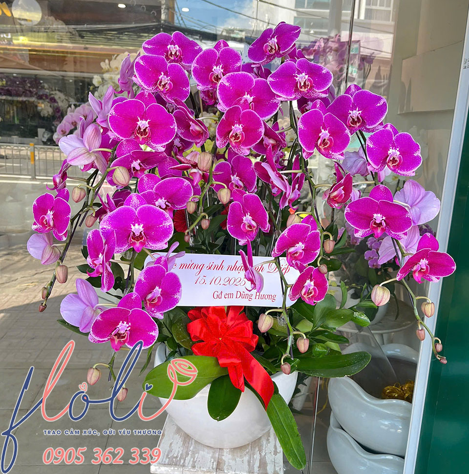 chau lan ho diep tang sinh nhat sep 7a