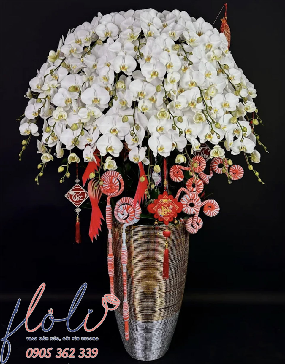 Giá bán Chậu Lan Hồ Điệp chơi tết màu trắng