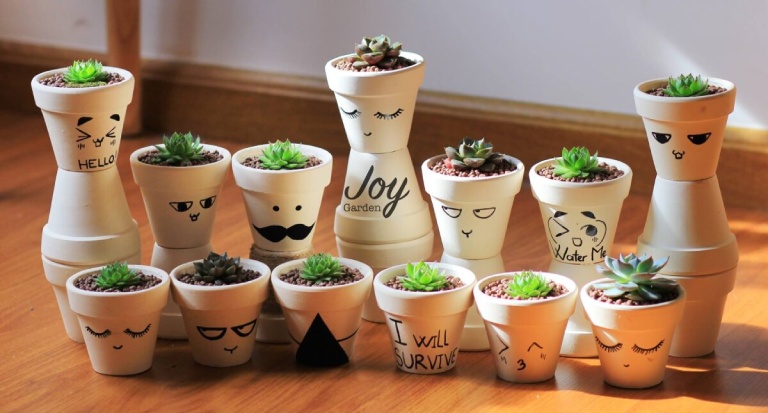 chậu sen đá mini