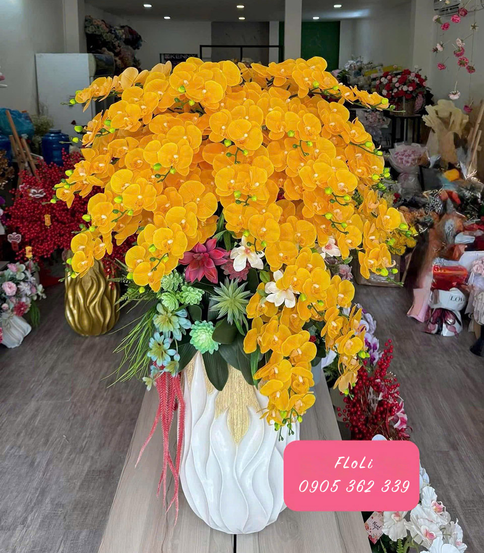 mau chau lan ho diep gia dep 2