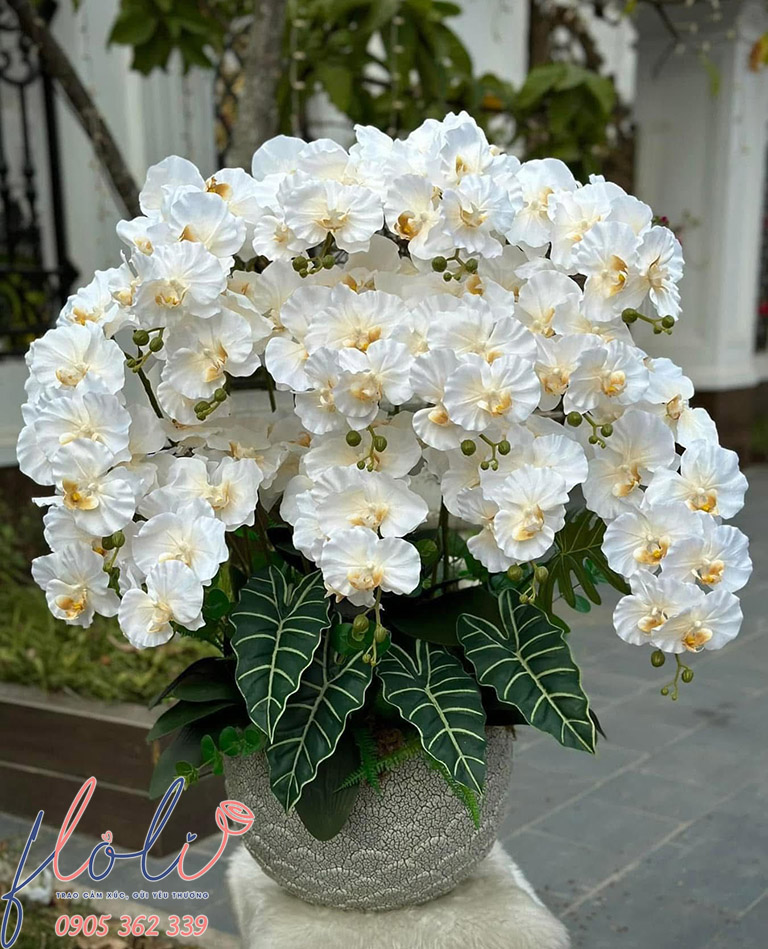 Mẫu chậu lan hồ điệp giả màu trắng đẹp xinh