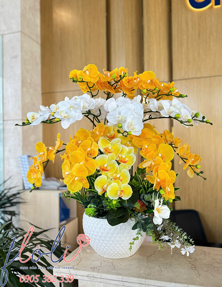Mẫu chậu lan hồ điệp giả floli giao miễn phí TPHCM