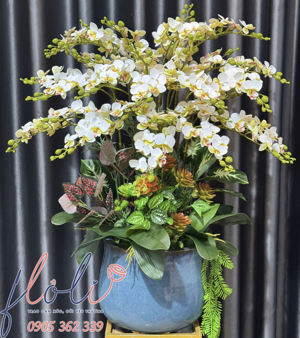 Chậu Lan Vương Giả Tuyệt Sắc HG260