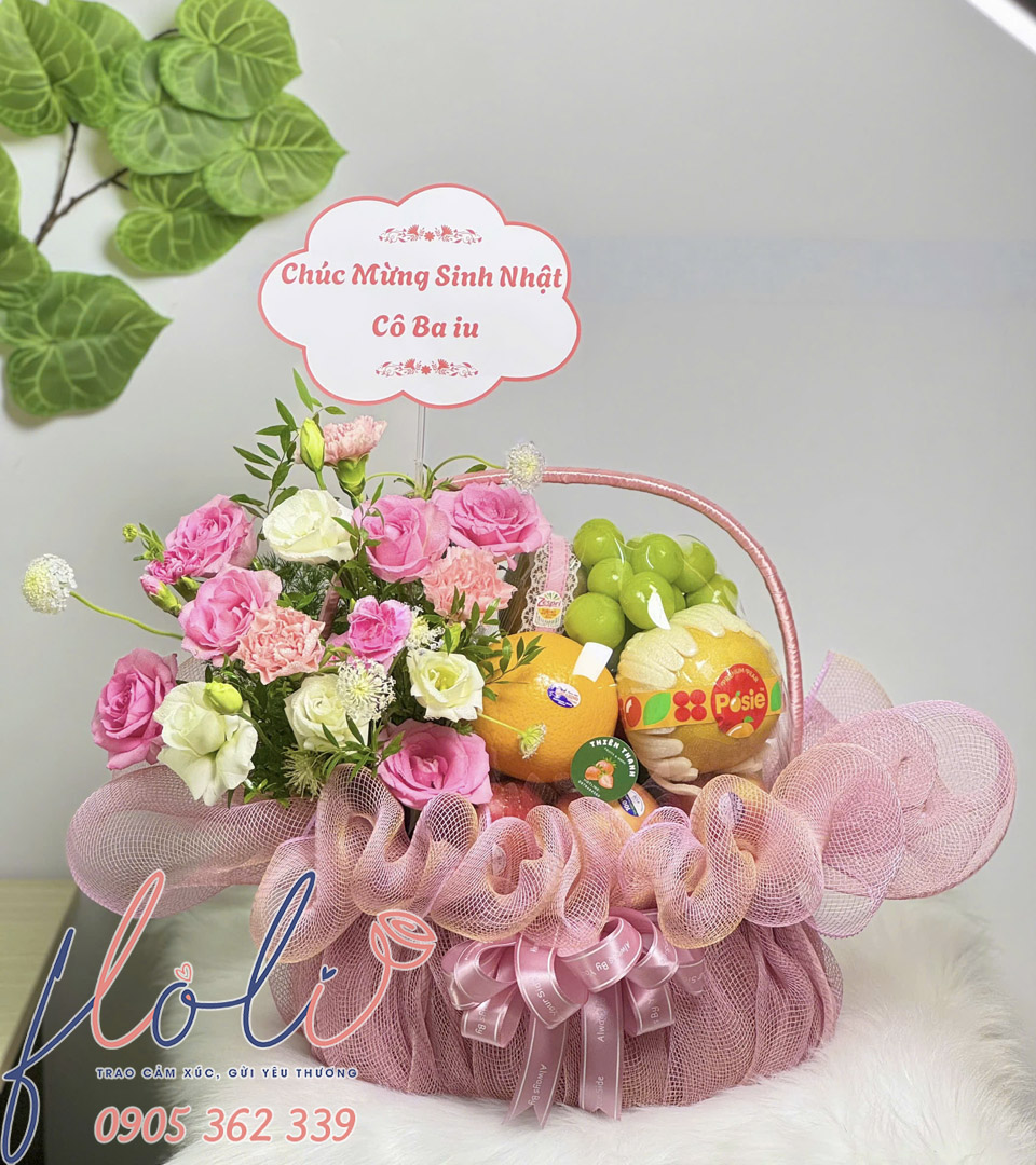 Giỏ Trái Cây Hoa Quả Bừng Sáng TC683