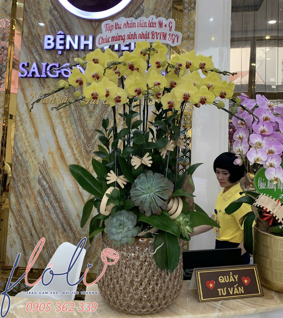 Giao chau lan ho diep hoang kim phat loc lhd313 1b