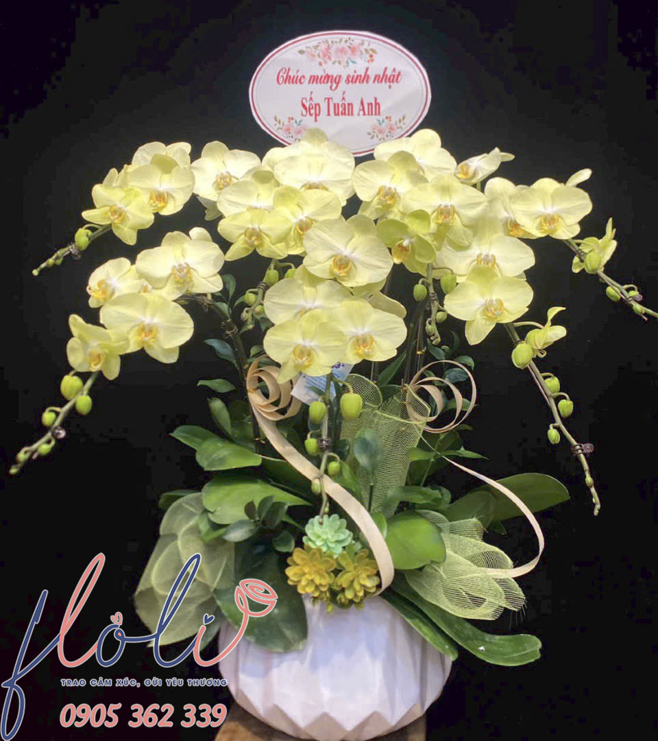 chau lan ho diep vang son phu quy lhd211 1